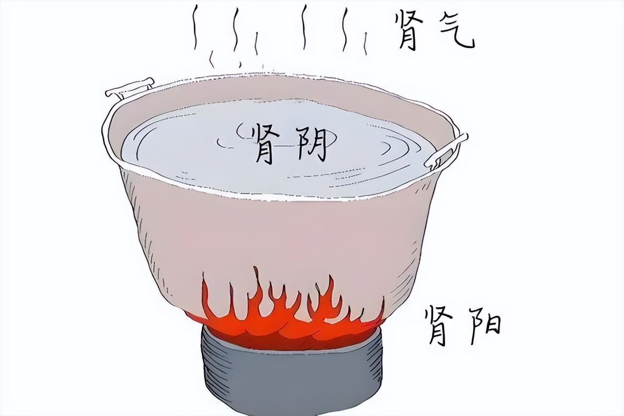 夜尿多是肾阳虚？明代古方温阳锁尿，夜起4次变1次！