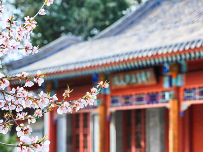 快手个性说说霸气十足 很独特的吸引人的说说