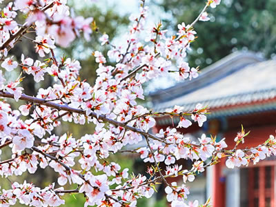 qq说说心里话伤心大全 女生qq空间伤感说说心里话