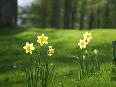 男生悲痛欲绝的心情短句 男生分手后的伤感说说