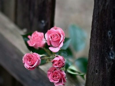 简短说说10字左右霸气大全 社会语录说说霸气十字左右